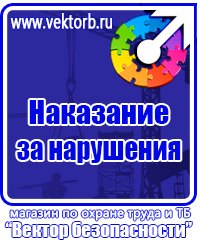 Видео по охране труда в Электростали купить vektorb.ru